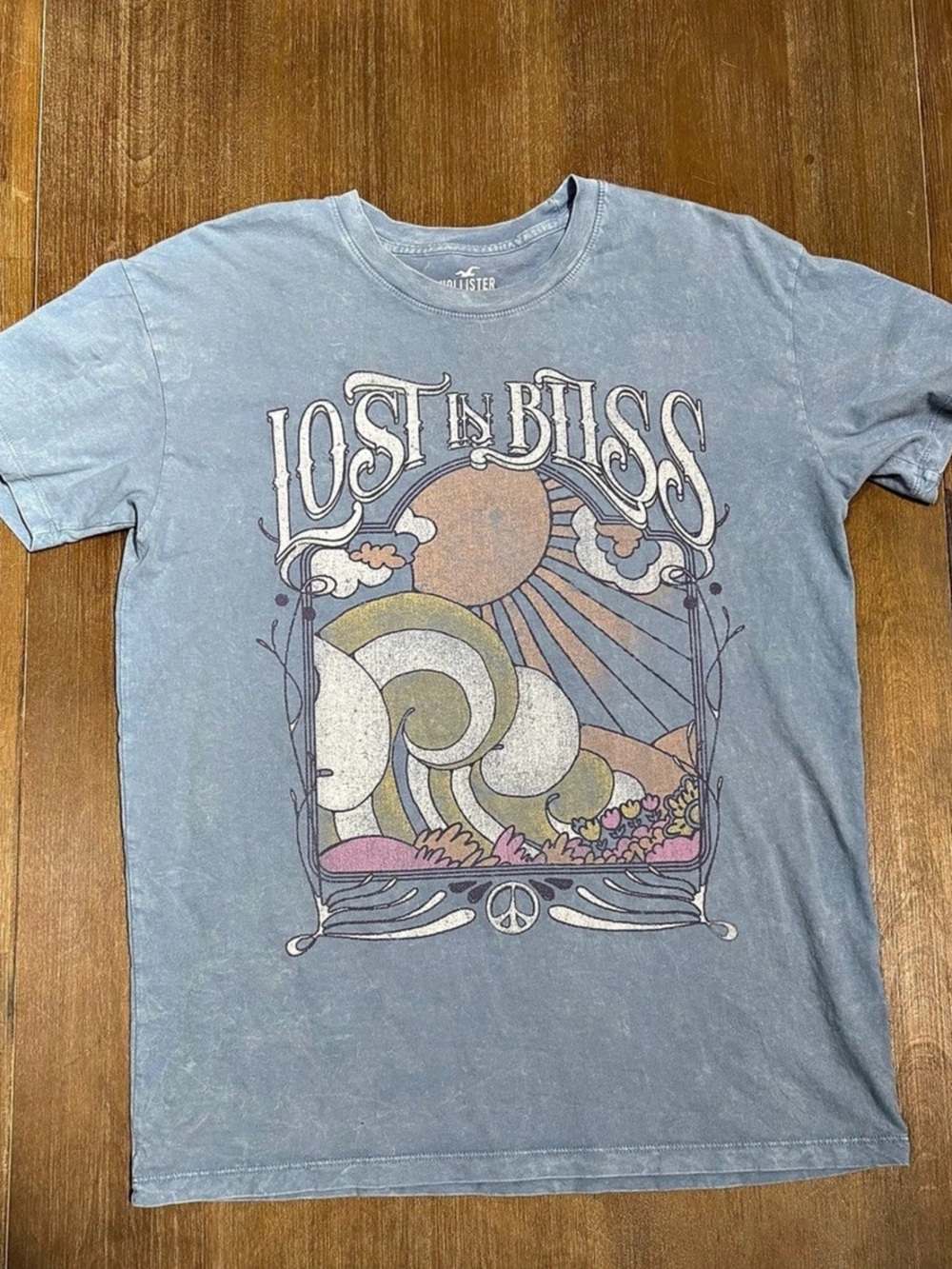 Hollister Lost in Bliss Graphic Short Sleeve Tee in Blue